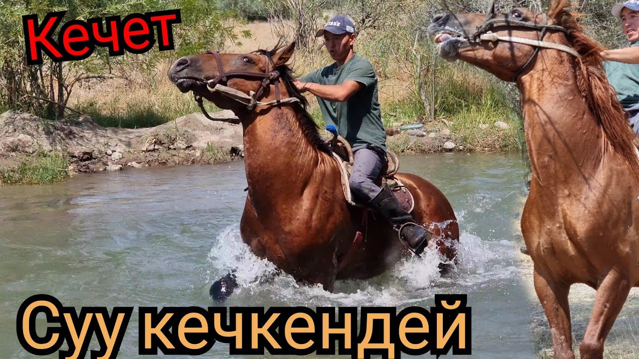 улактын аттары ЖОНДҮҮ БААДА АКТИЛЕК АКЕДЕН ЧЫКТЫ👍8 августа 2022 г.