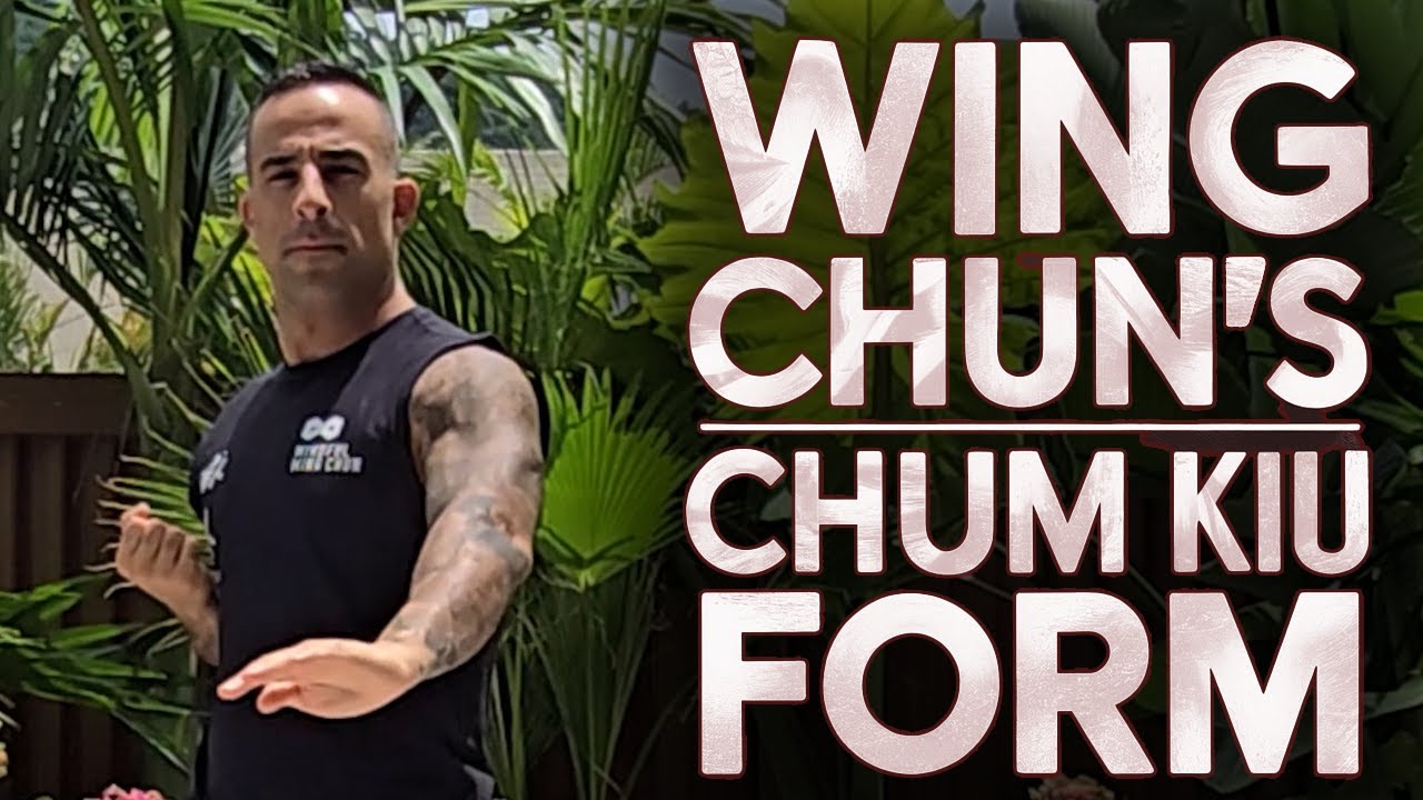 WING CHUN KUNG FU's 2ND FORM - 