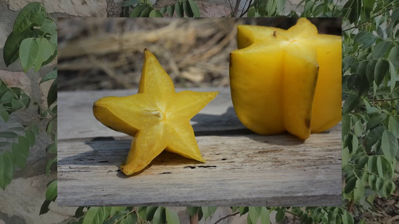 Novembre 2025 : au bureau