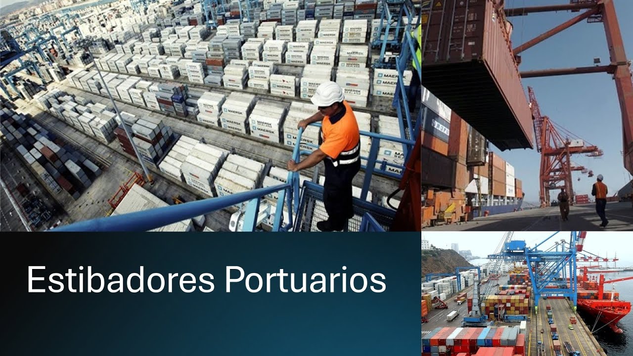 ⚓ ¿Qué son los Estibadores Portuarios? 🌍🚢