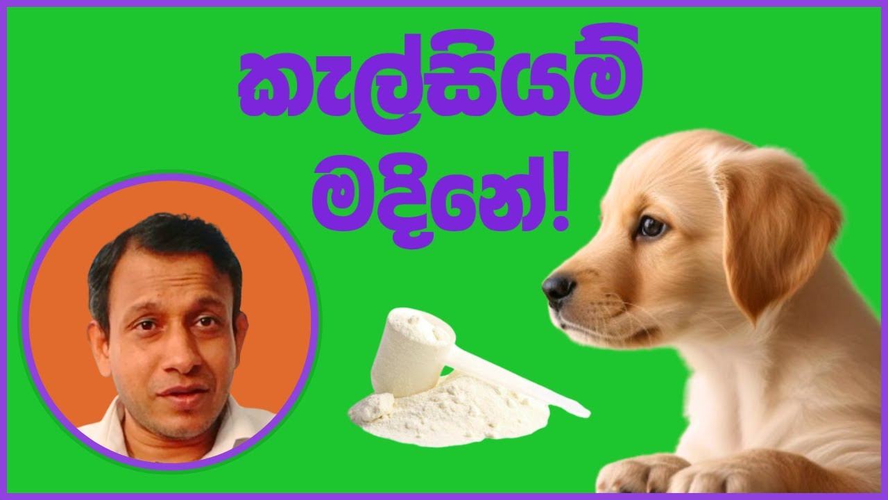 පැටියට ඇති වෙන්න කැල්සියම් දෙන විදිය.. ඔහොම දුන්නොත් කකුල් ඇද‌වෙයි.. #dranuradissanayake