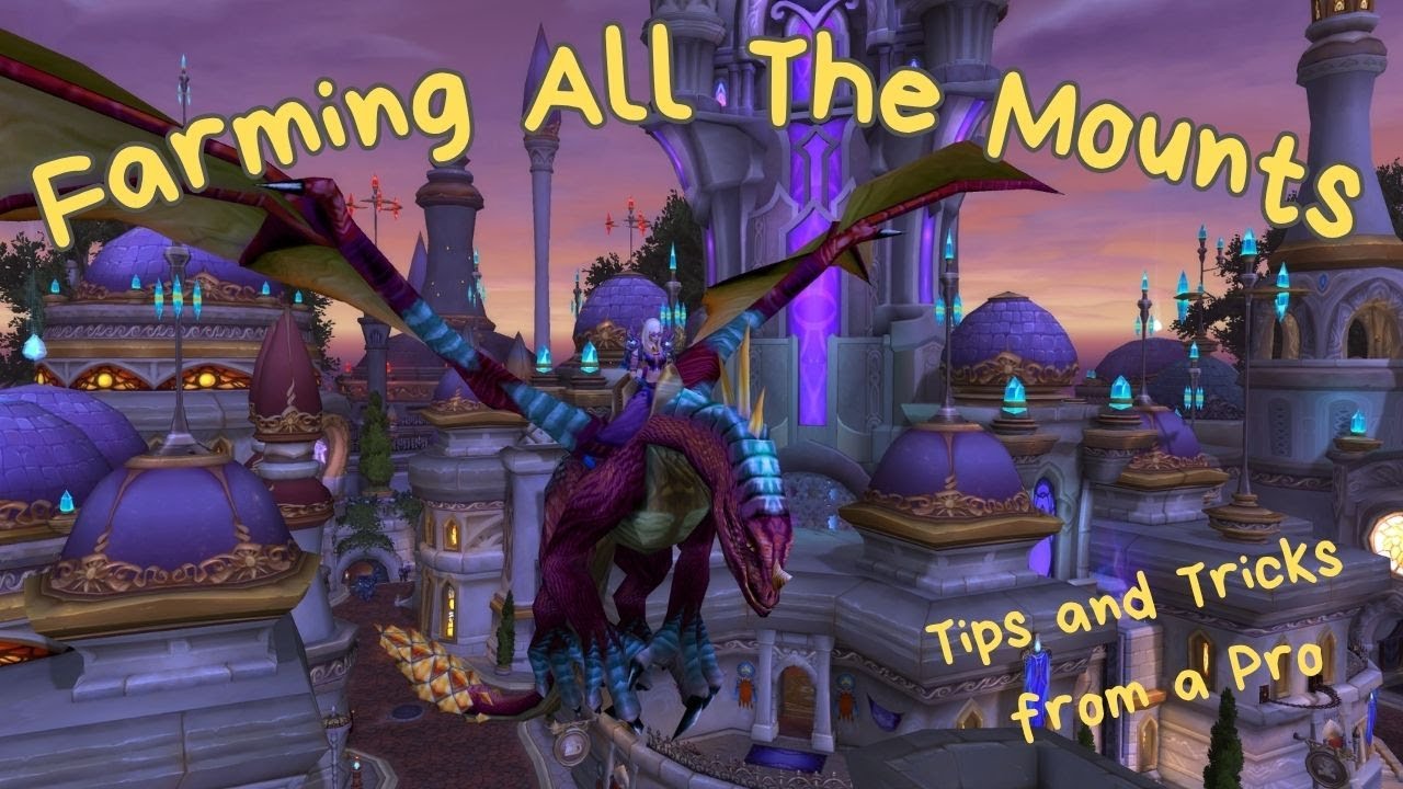 Collectors Bounty Tips From a Pro Collector