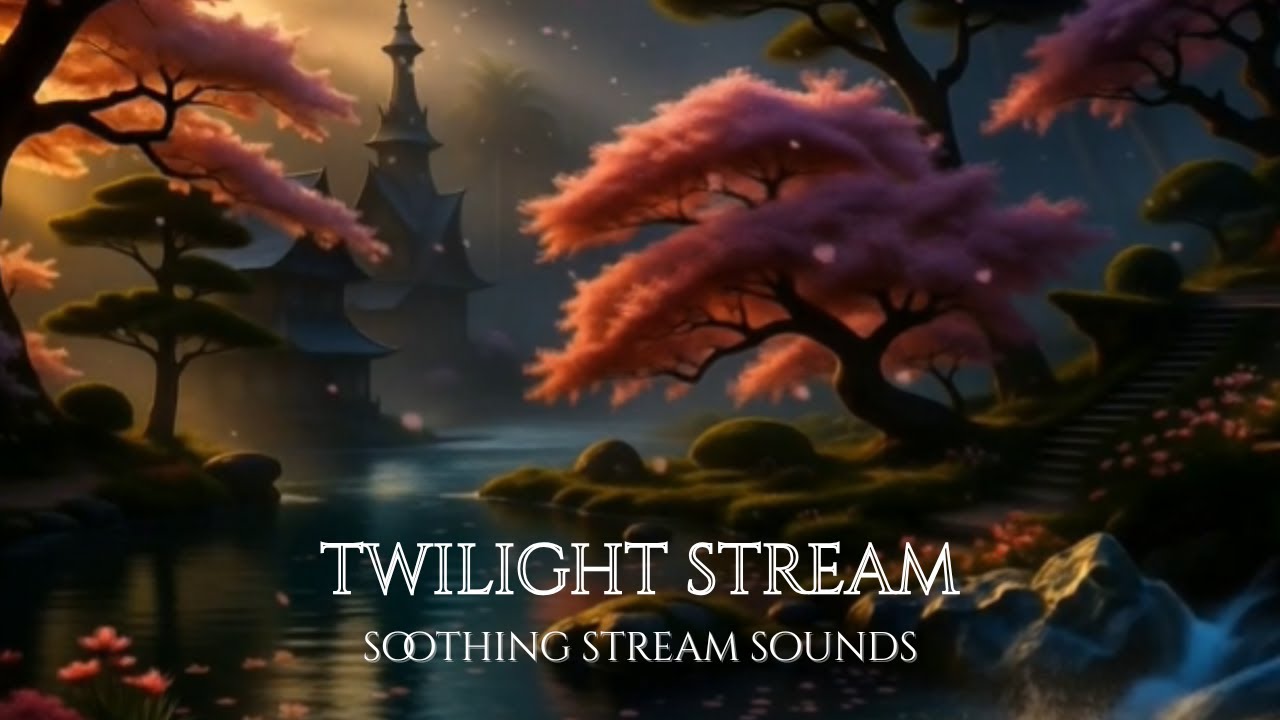 ✨Twilight Stream💦Gentle Forest Water, Soft Birds & Breeze (No Music)