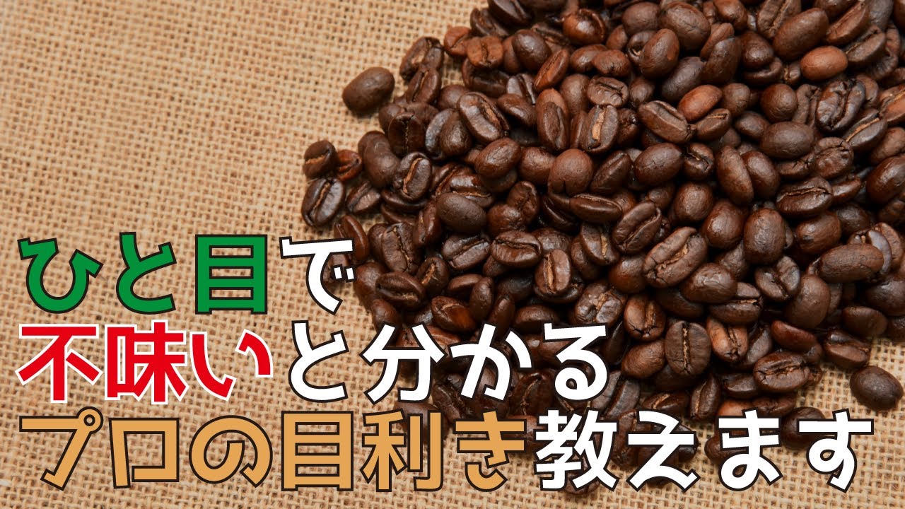 【ハズレを引かない知恵】まずいコーヒーは見た目でわかるプロの目利きの基本とコーヒー豆の選び方解説|Nif Coffee（ニフコーヒー）