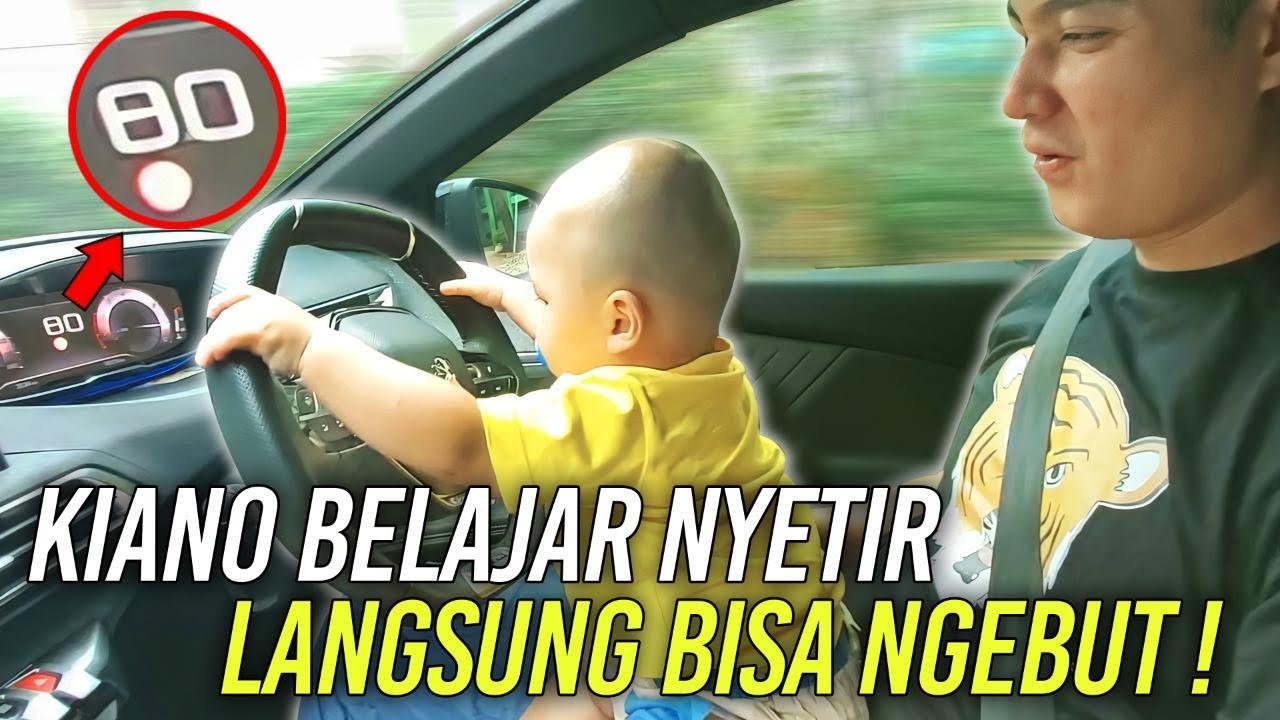 KIANO UMUR 8 BULAN BISA NYETIR MOBIL SINGA SAMPE KECEPATAN 80 KM/JAM ‼️ PAULA SAMPE PUSING ⁉️