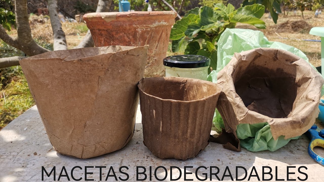 Como hacer macetas biodegradables con carton