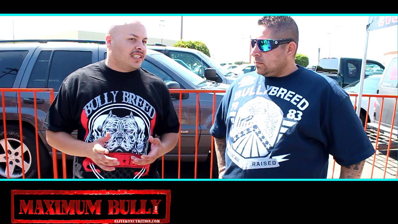 ROBERT PRIMERO BULLY BREED CLOTHING