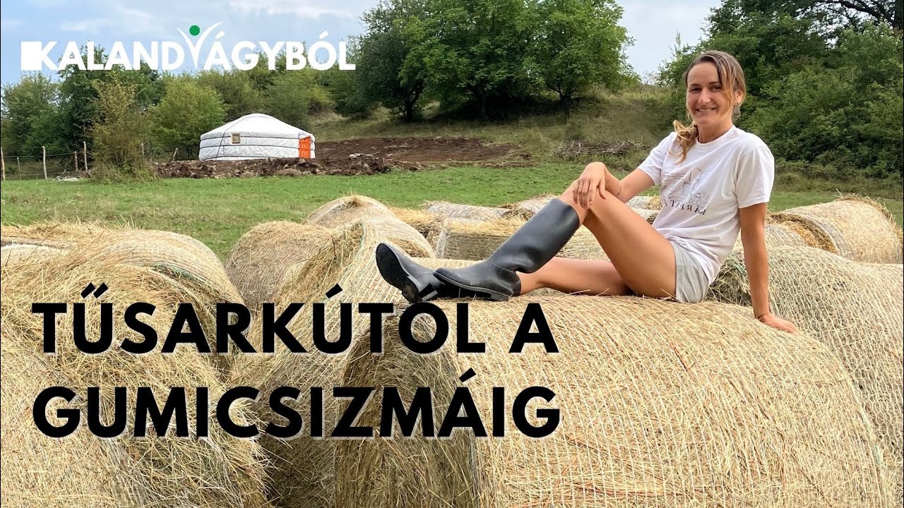 Diána kertje a Börzsönyben