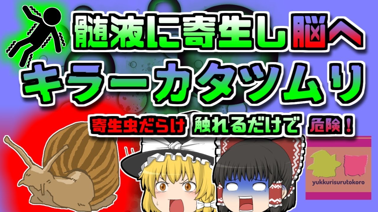 【2014年ｱﾒﾘｶ】触るだけで危険！脳に障害を及ぼす恐ろしい寄生虫…原因は「カタツムリ」？？