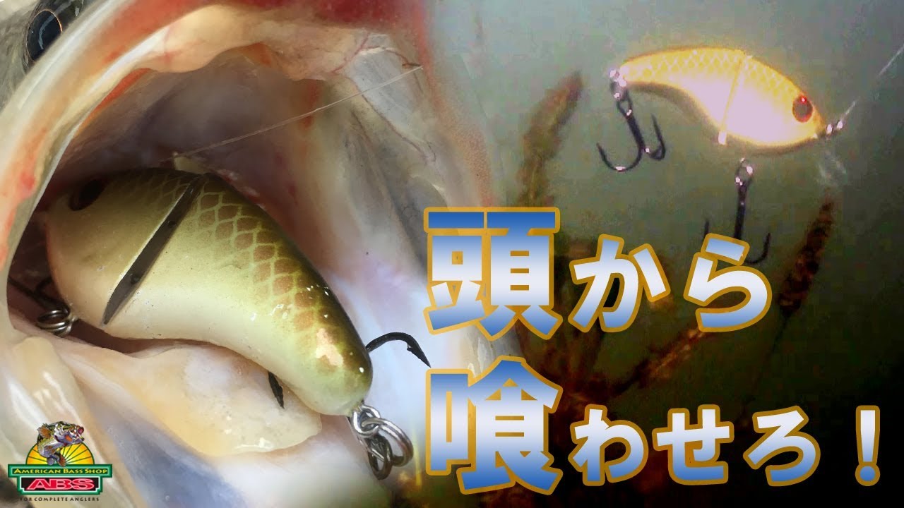冬でも頭から丸呑み　90度ターンが得意のフラットブローク　ABSバス釣り動画　[NORMAN] FLAT BROKE