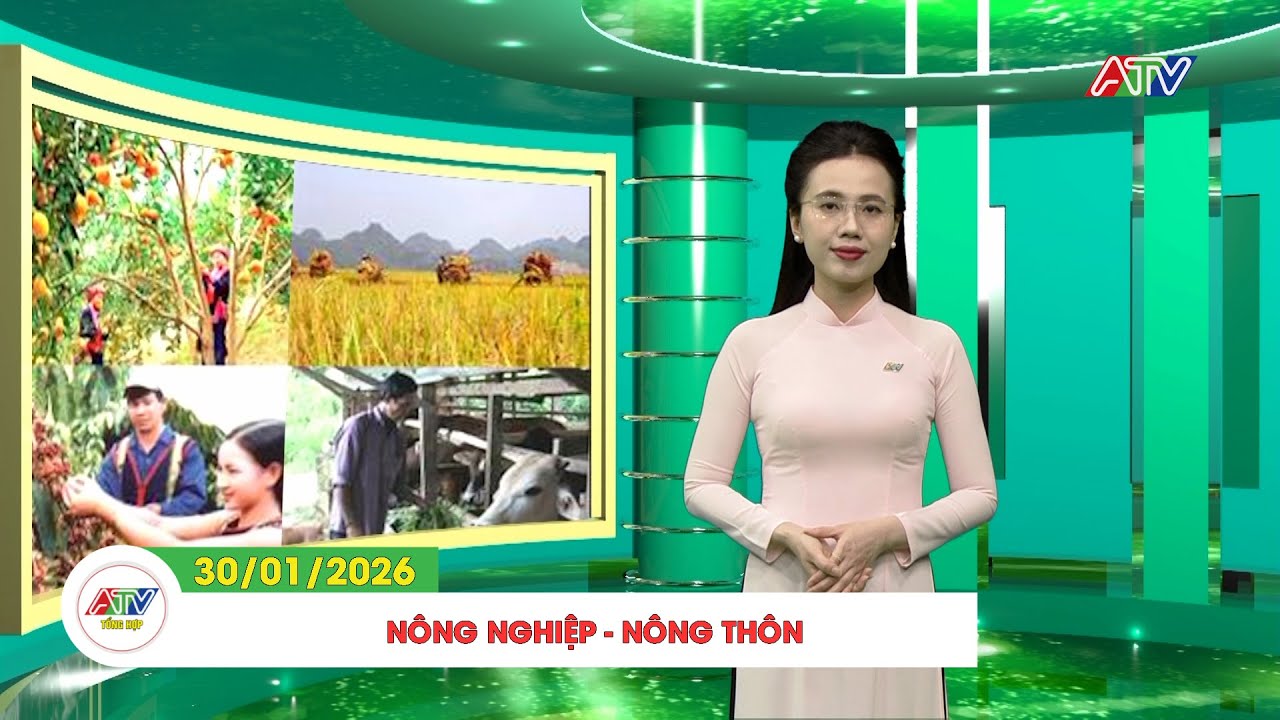 NÔNG NGHIỆP - NÔNG THÔN (30/01/2026) | ATV TỔNG HỢP