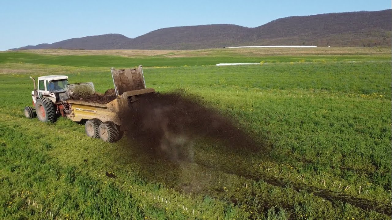 Hauling Solid Cow Manure