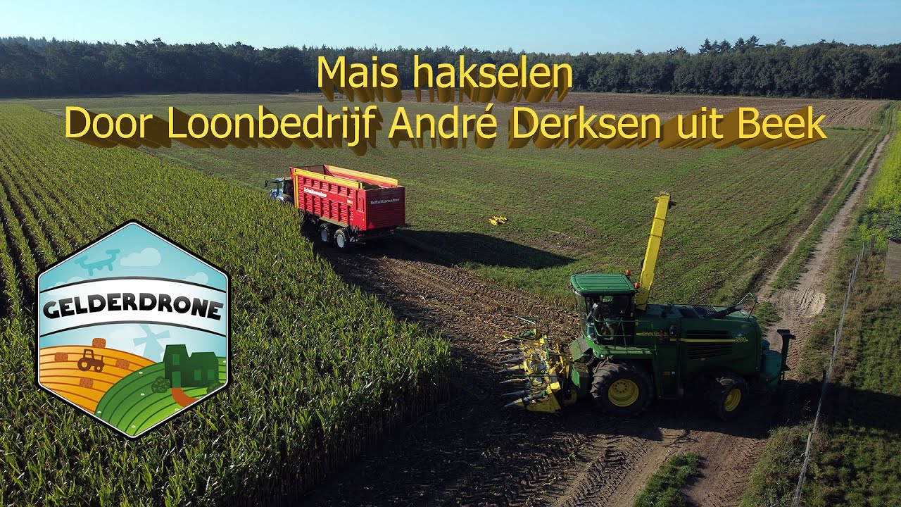 Ma&iuml;soogst 2020 - Hakselen door Loonbedrijf Andr&eacute; Derksen uit Beek - Mais h&auml;ckseln - Chopping corn