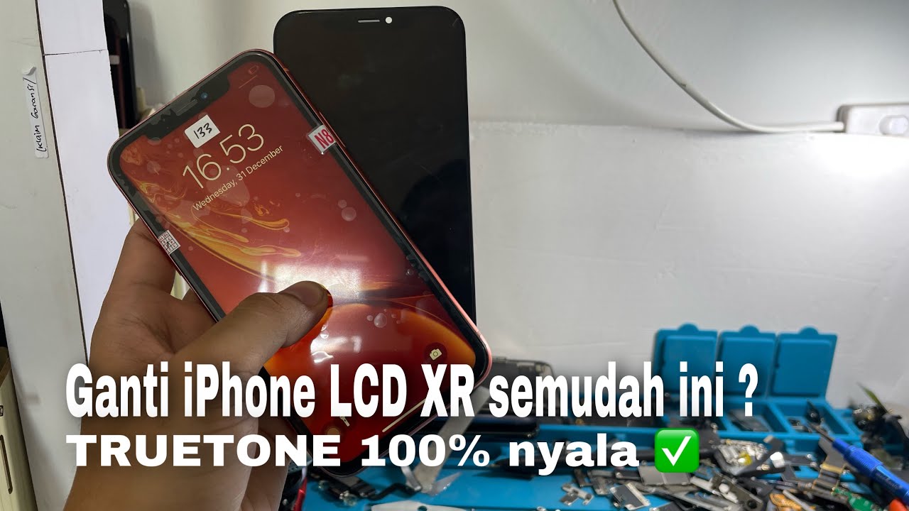 Tutorial mudah ganti lcd iPhone XR, kembalikan fungsi Truetone ✅