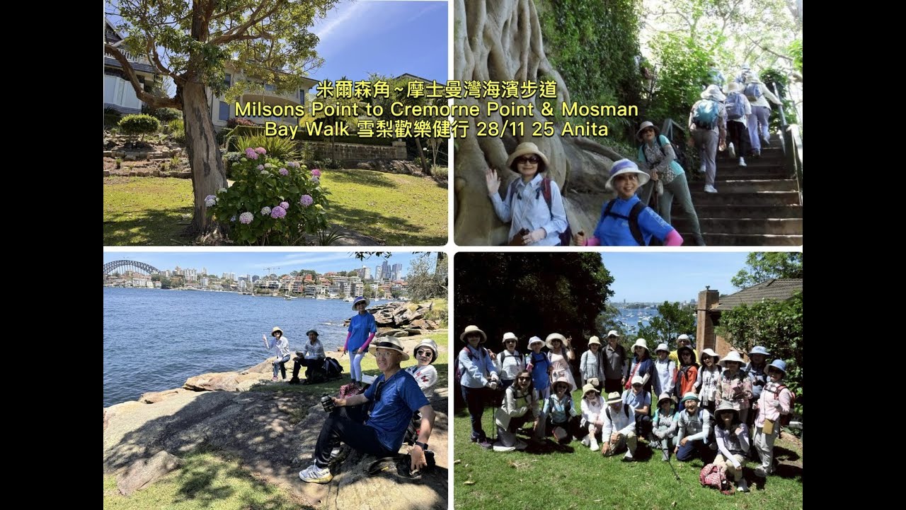 雪梨米爾森角到摩士曼灣步道， Milsons Point to Cremorne Point & Mosman Bay Walk 雪梨歡樂健行 28/11/25 Anita