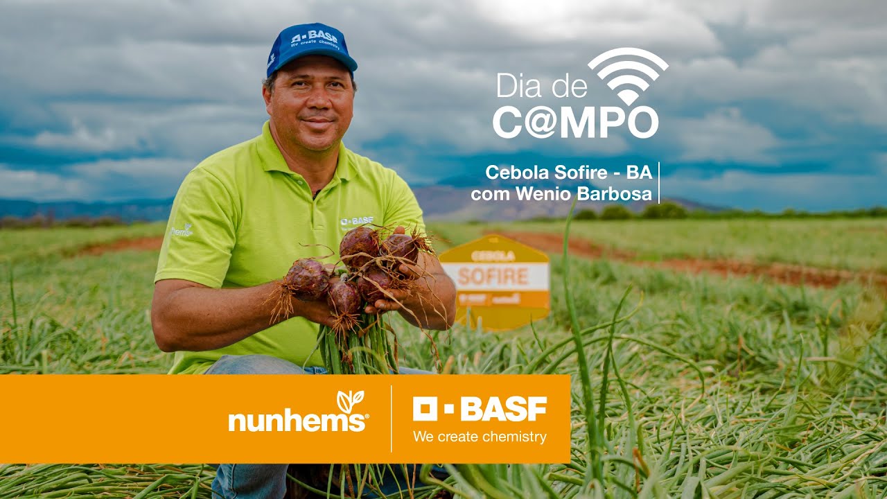Dia de Campo | Cebola Sofire ‑ BA com Wenio Barbosa