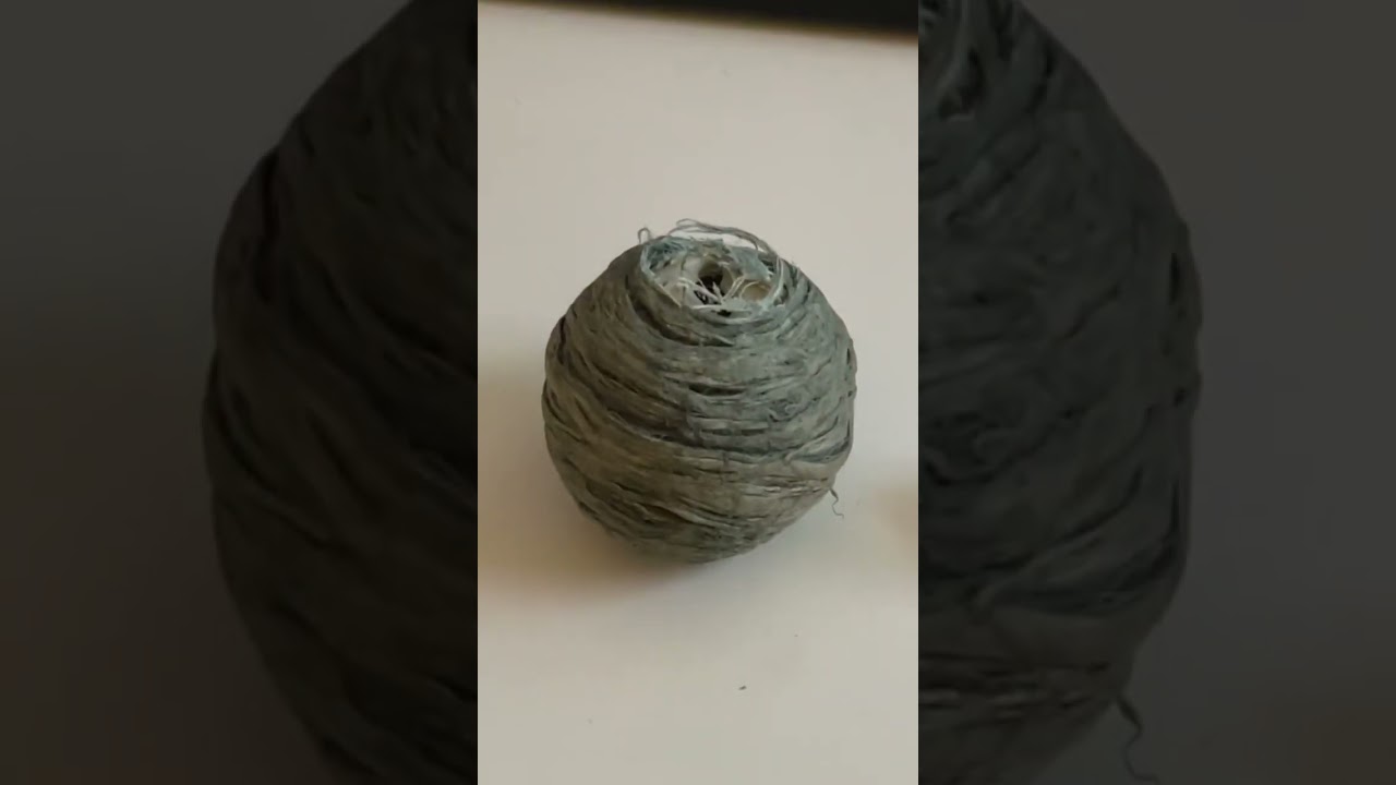 Zweite Ameise zieht ins Mega Experiment