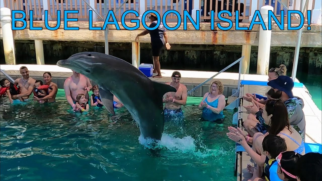 🐬Swimming with Dolphins🐬 Blue Lagoon Island in the Bahamas! Royal Caribbean Cruise (Day 3/4)