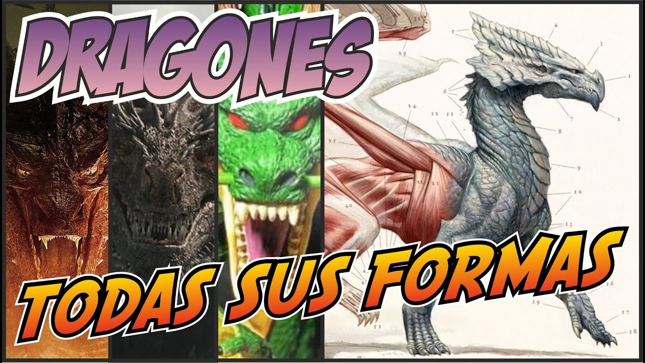 DRAGONES - TODOS los TIPOS y TODOS sus NOMBRES