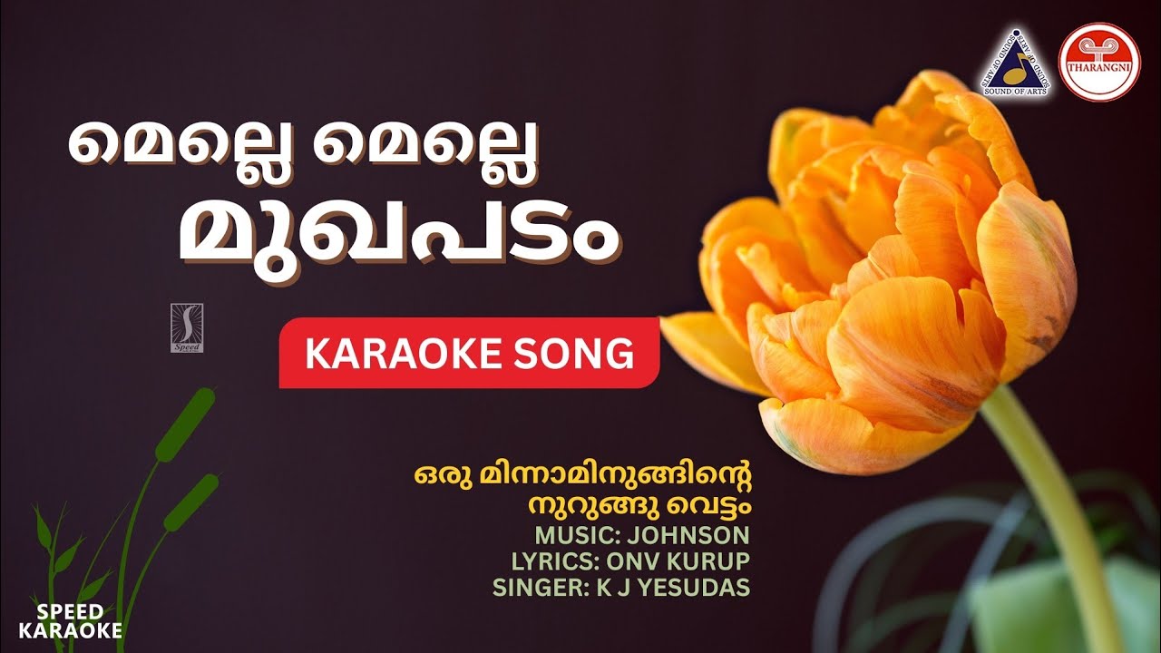 മെല്ലെ മെല്ലെ മുഖപടം - ഒരു മിന്നാമിനുങ്ങിന്റെ നുറുങ്ങു വെട്ടം | HD Karaoke | Johnson | ONV Kurup 