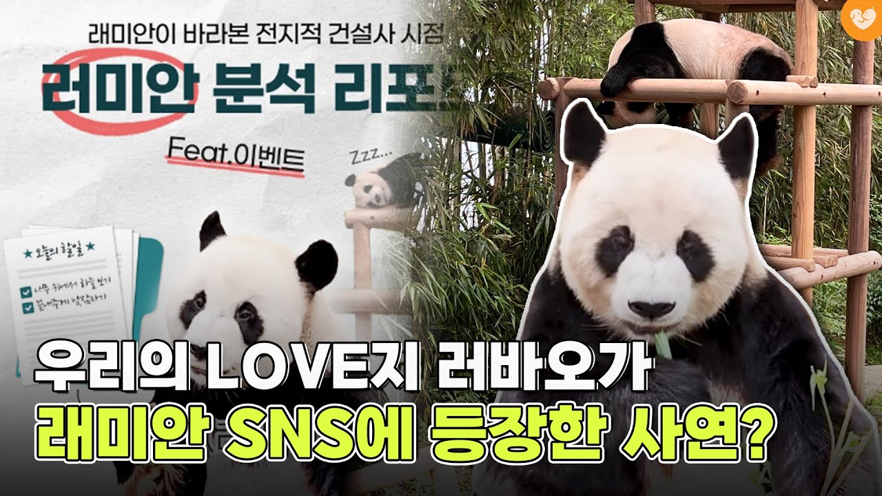 많은 사랑받고 있는 '러부지' 러바오가 러미안과 함께 래미안 공식 SNS에 등장한 이유