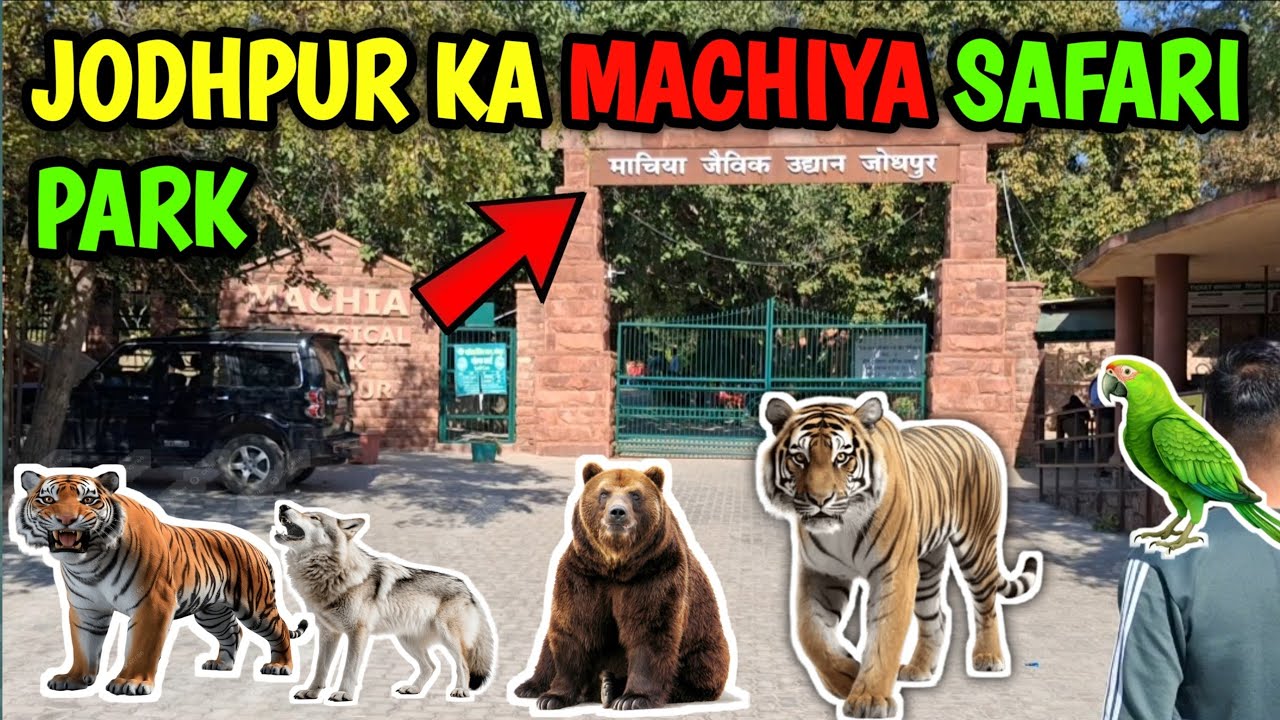 JODHPUR Ka Machiya Safari Park Aagaye 😄