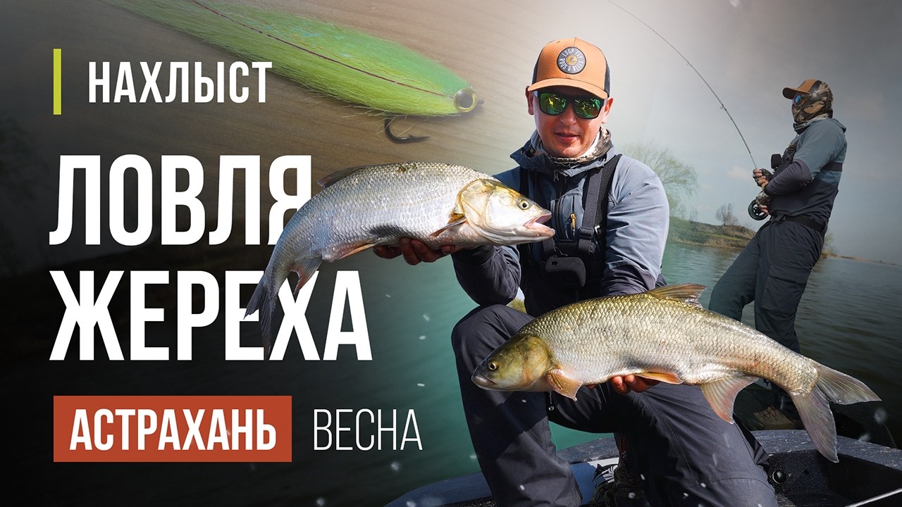 Ловля ЖЕРЕХА ВЕСНОЙ по холодной воде. Шнуры, СТРИМЕРЫ, оснастка и тактика ловли.