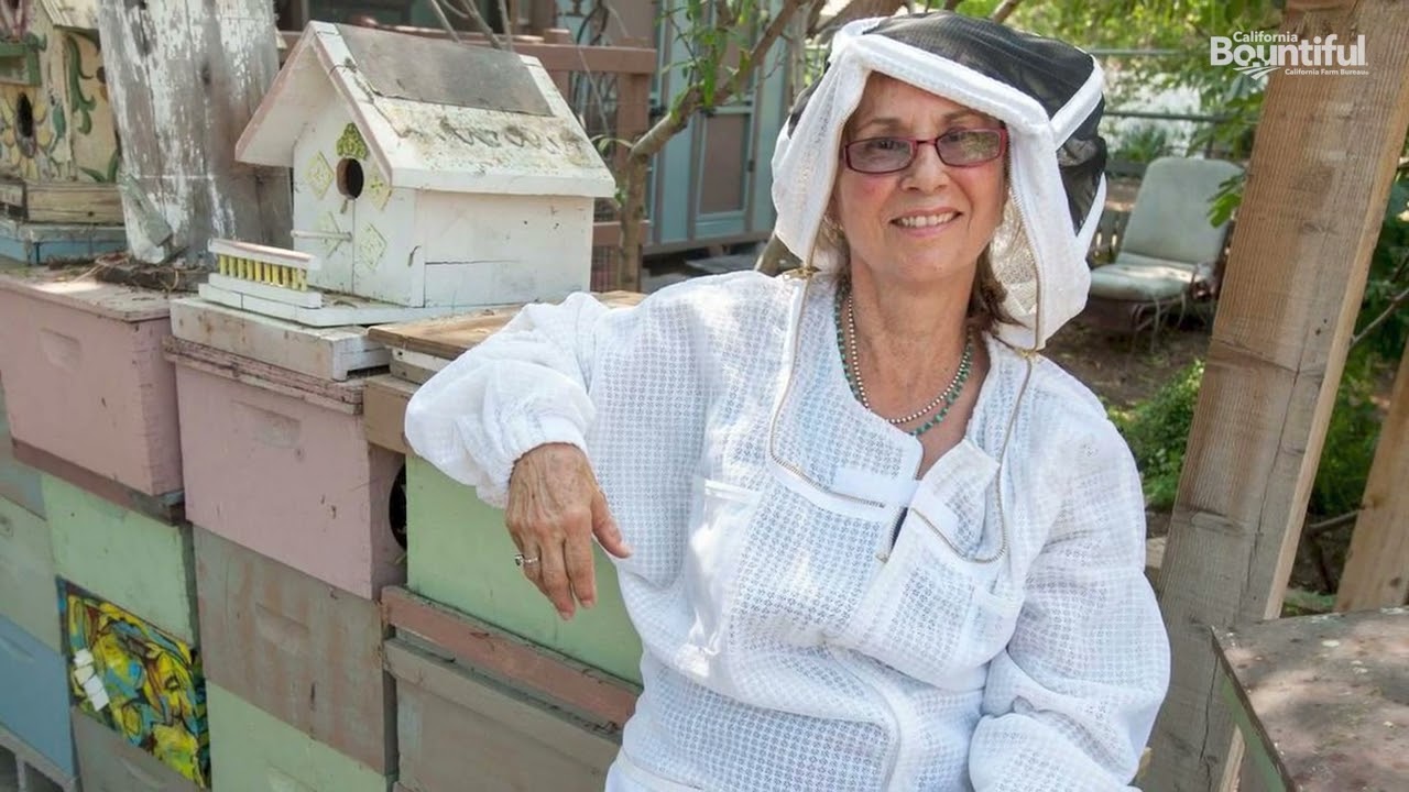 Rehoming bees