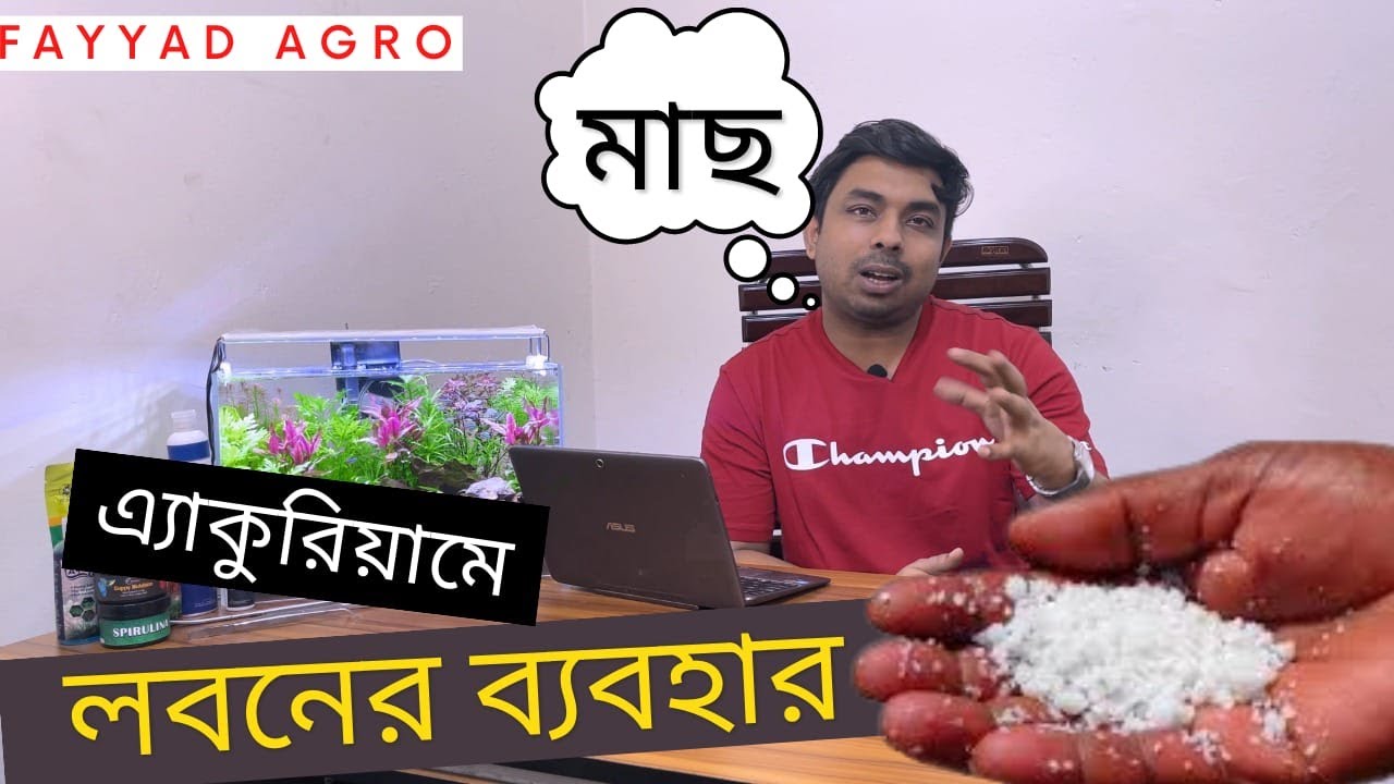 মাছ পালনে লবন বাবহারে ৭ টি উপকারিতা। Benefit of Salt in Aquaculture