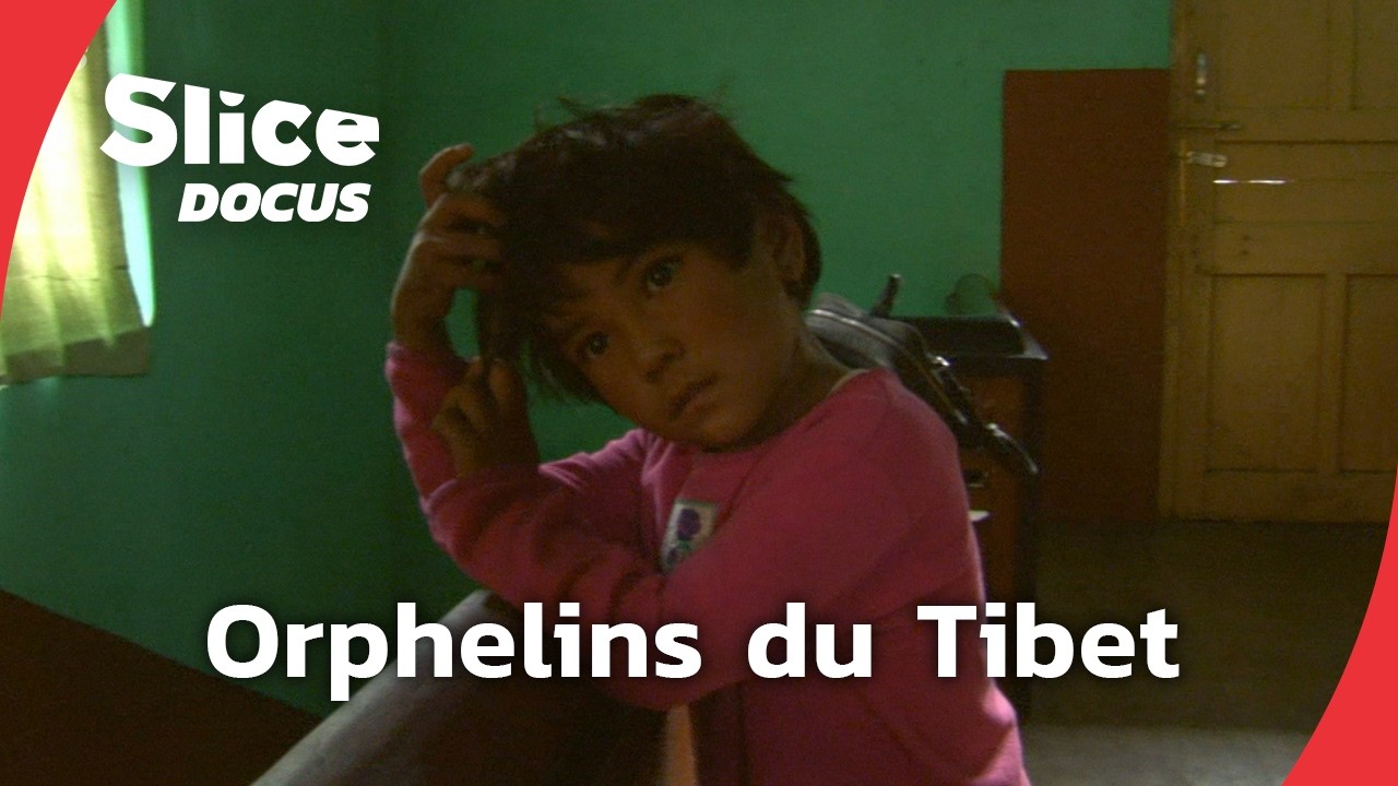 Apprendre et survivre : l'espoir des orphelins du Tibet | SLICE DOCUS