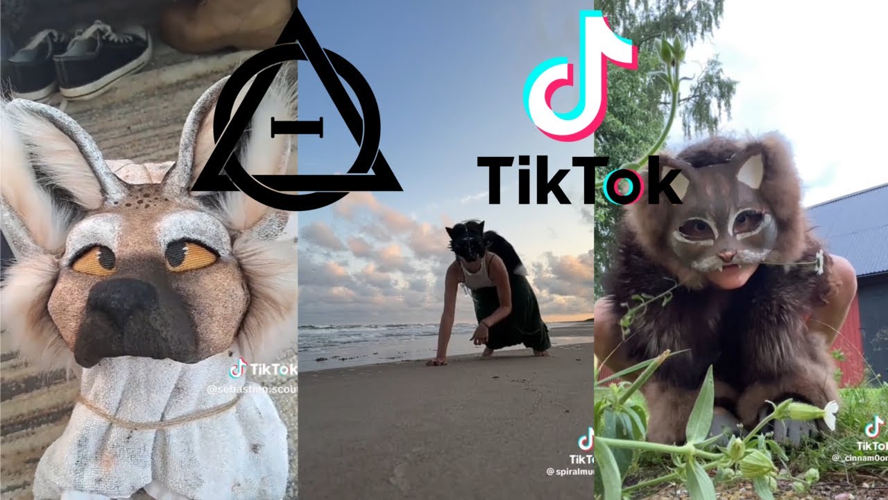 Therian and Quadrobics TikToks || Compilation 🐾🍂 || Alterhumans of TikTok #20