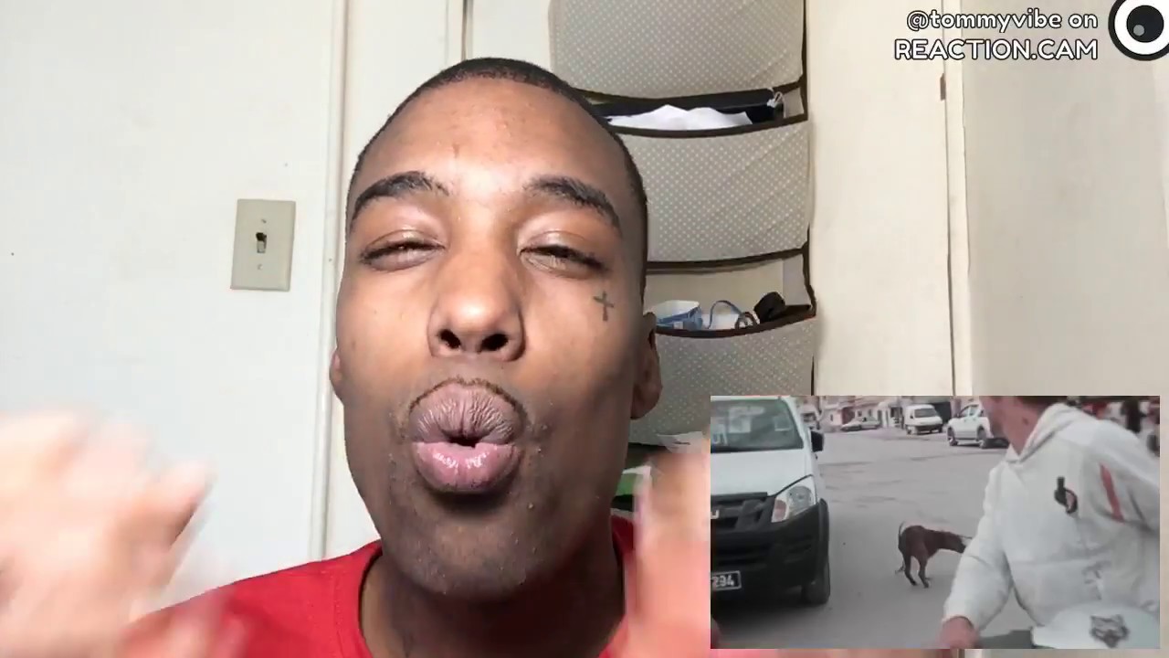 American Reacts to TMC LIFELESS OFFICIAL VIDEO CLIP &ndash; REACTION.CAM