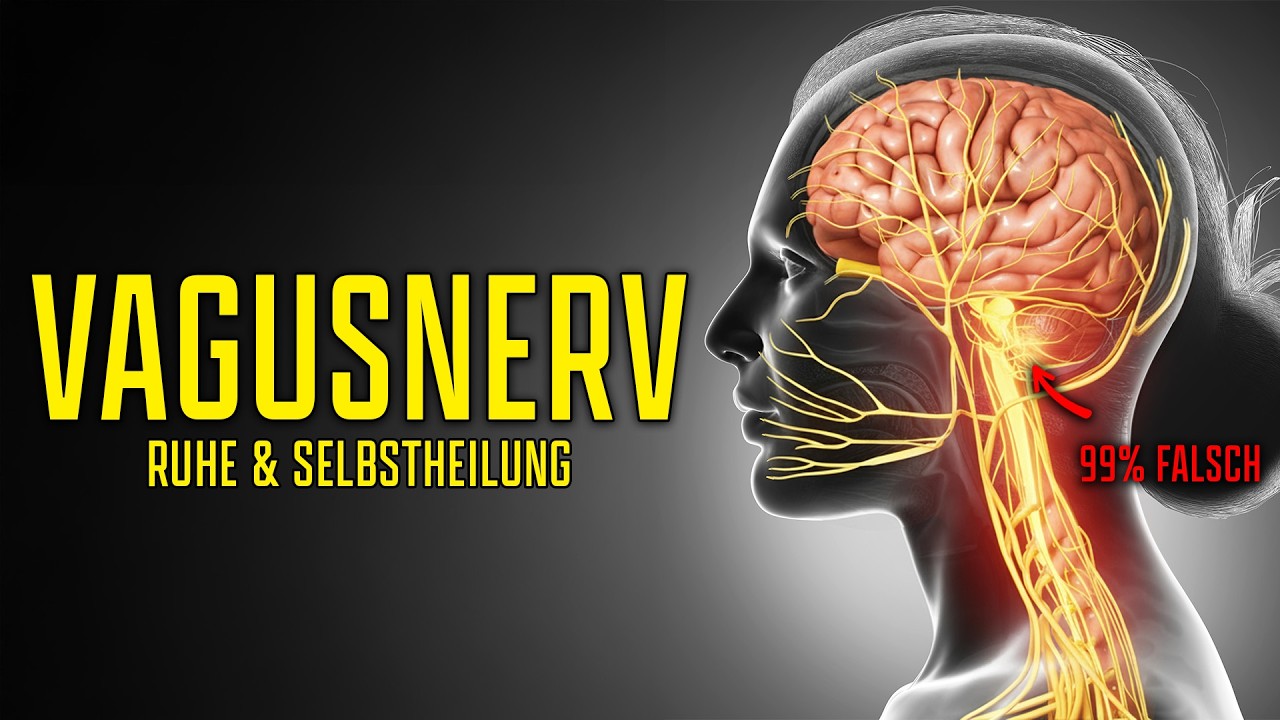 Vagusnerv verstehen: Der Ruhe- und Selbstheilungsschalter, den 99% falsch bedienen