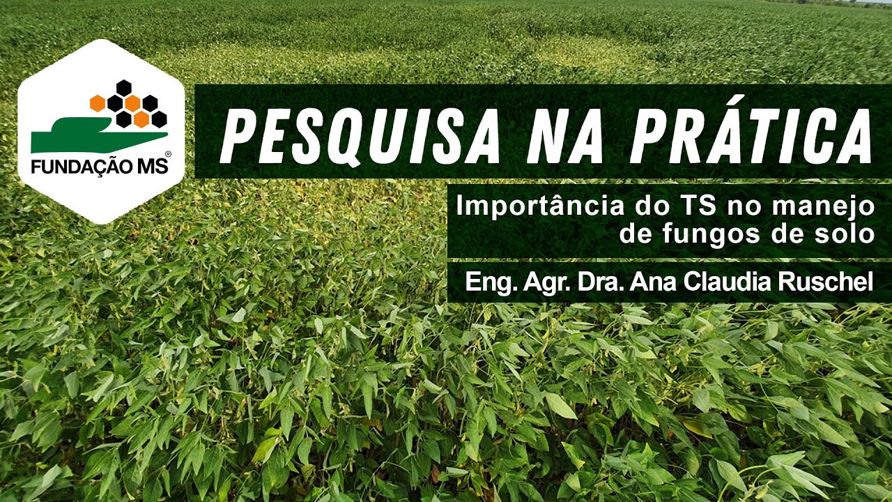 Importância do TS no manejo de fungos de solo