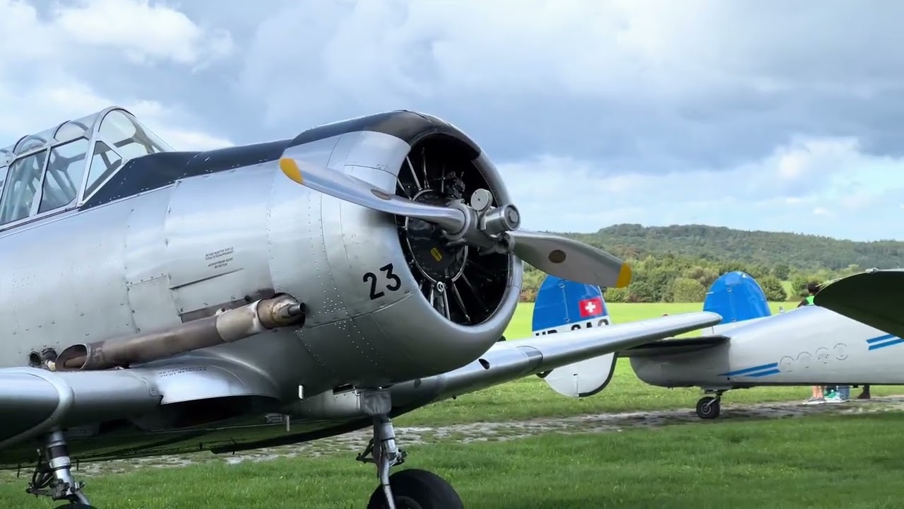 Friday Arrivals Pt. 1 & Slingsby Opening at Oldtimer Hahnweide 2025 OTT25