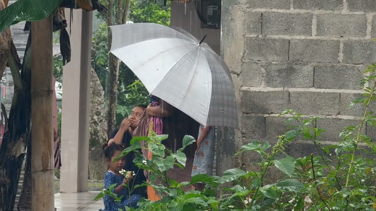 Heavy Rain in Peaceful Village  Beautiful Village With Tall Trees  ASMR, Rain Sounds For Sleep 0