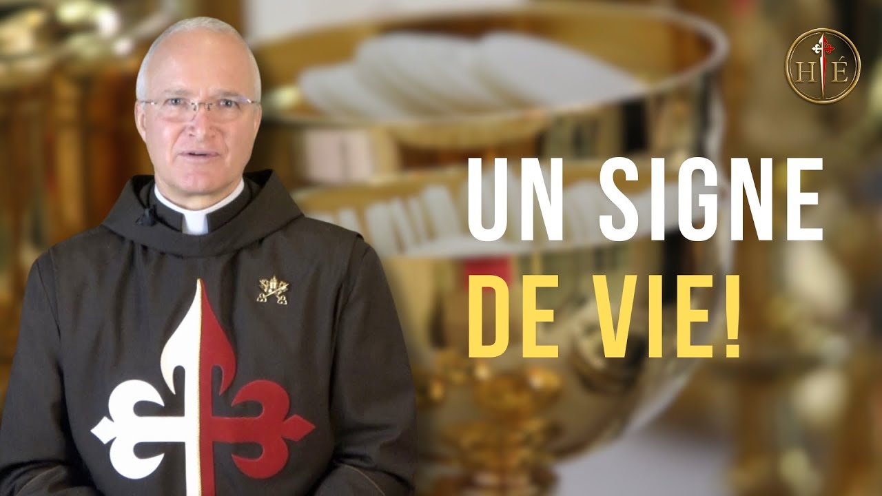 Un signe de vie! | Mardi de la 3e semaine de Pâques | P. François Bandet