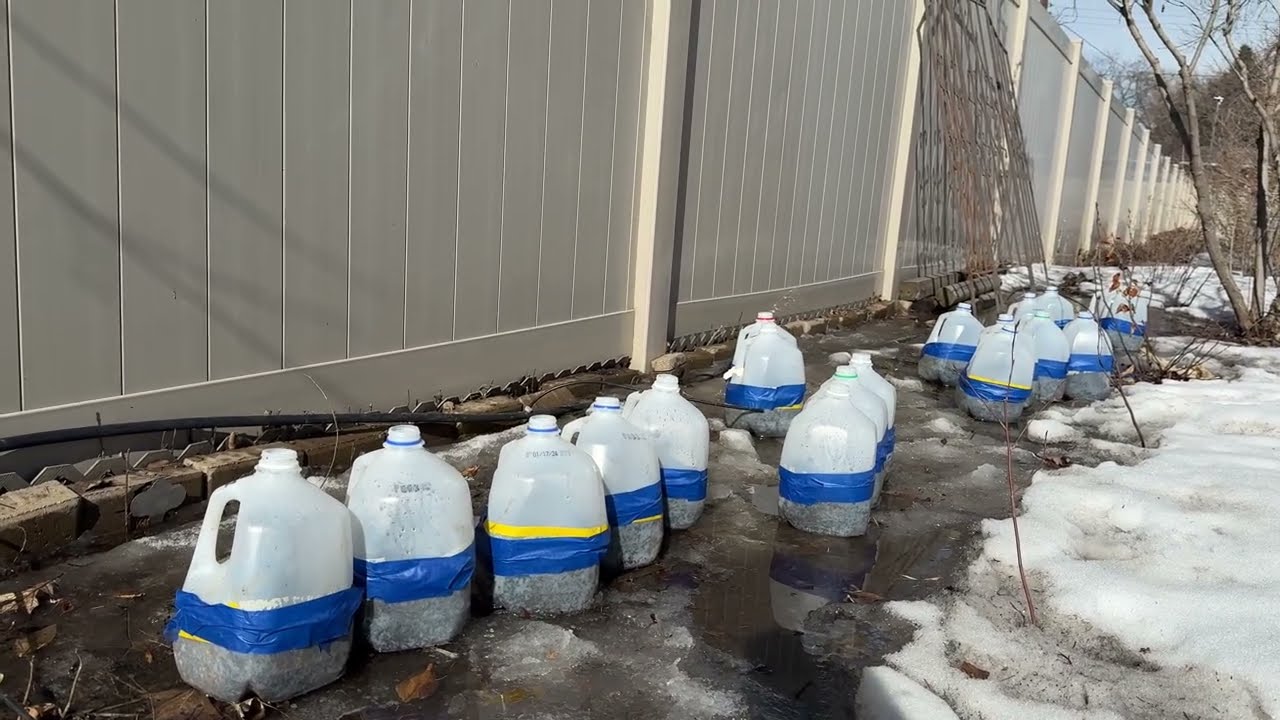 How To Water From The Bottom For The Winter Sowing Method