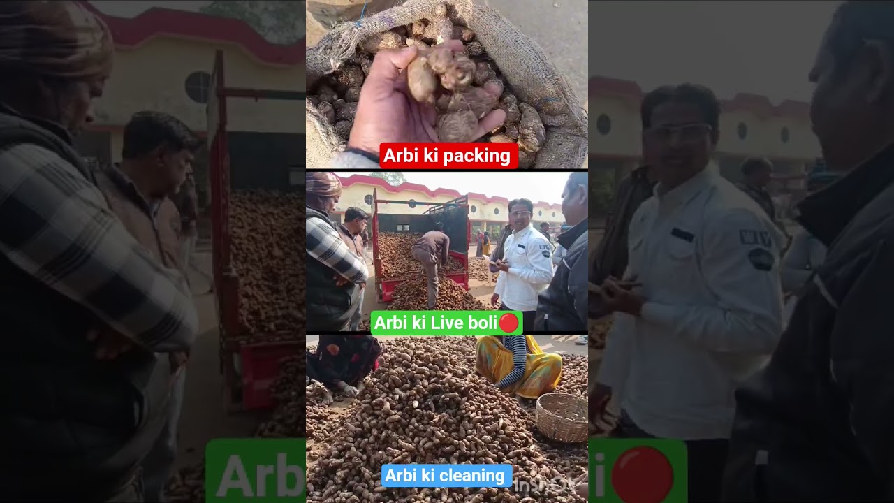 Business | India's Famous Mandi | Live boli🔴| 