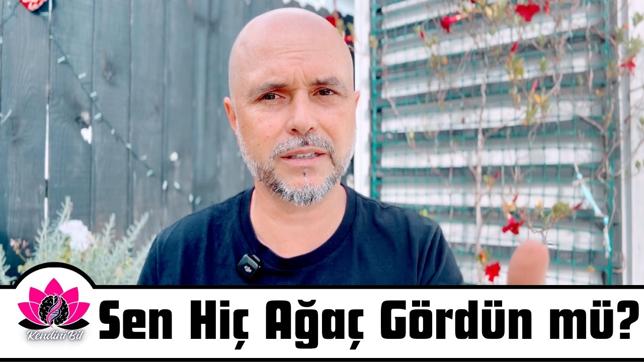 Gerçeği Görmek İster misin? 🛑 Perdeleri Kaldır!