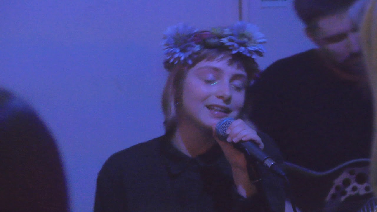 Деревянные киты - Поле чудес @Rovesnik 12-01-20