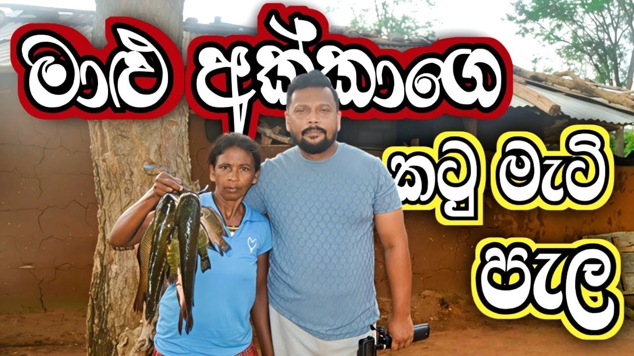 මාළු අක්කාගෙ කටු මැටි පැලේ දවසක් 🐘🐟 / @travelwithsidney / Vlog 30