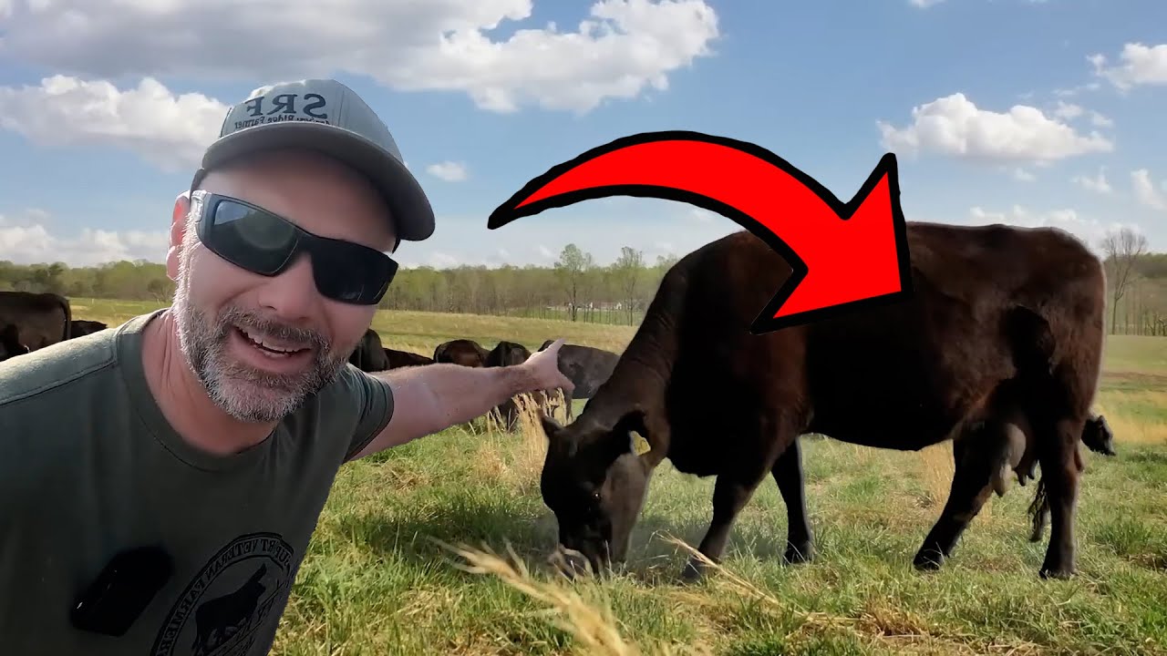 Farmer speaks out about animals healing the land, soil, water and air!