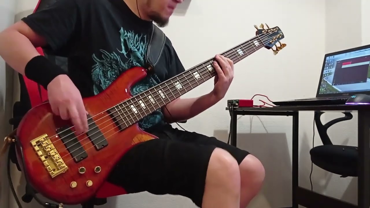 Papa Roach   Beetween Angels And Insects (Bass Cover) Spector Euro