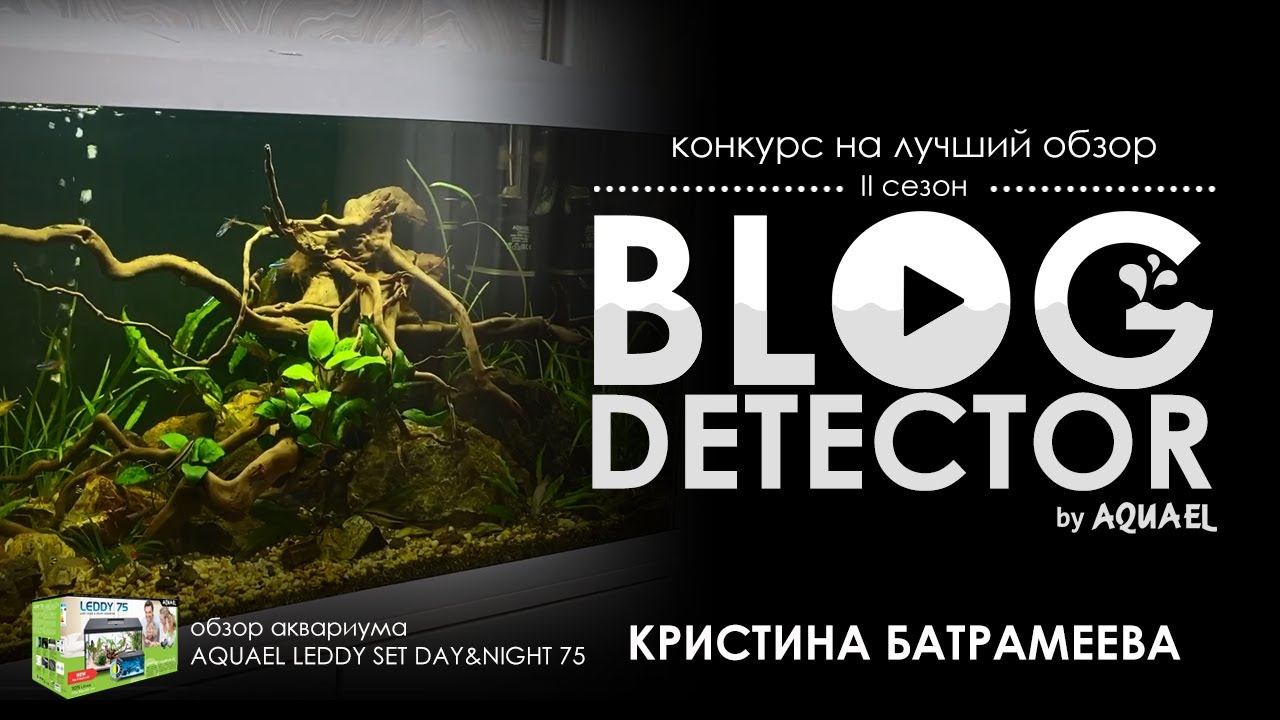 4 Кристина Батрамеева — Обзор аквариумного набора AQUAEL LEDDY DAY&NIGHT 75