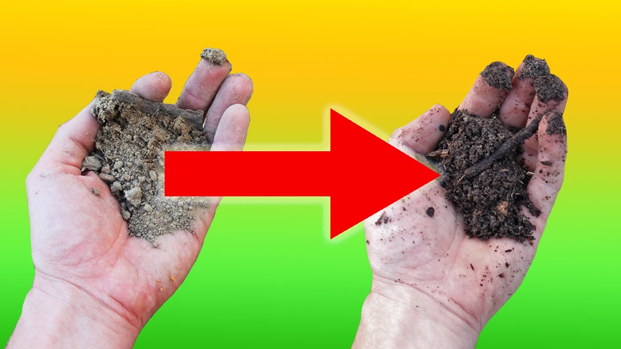 7 Steps to Improve Terrible Soil the Epic Way