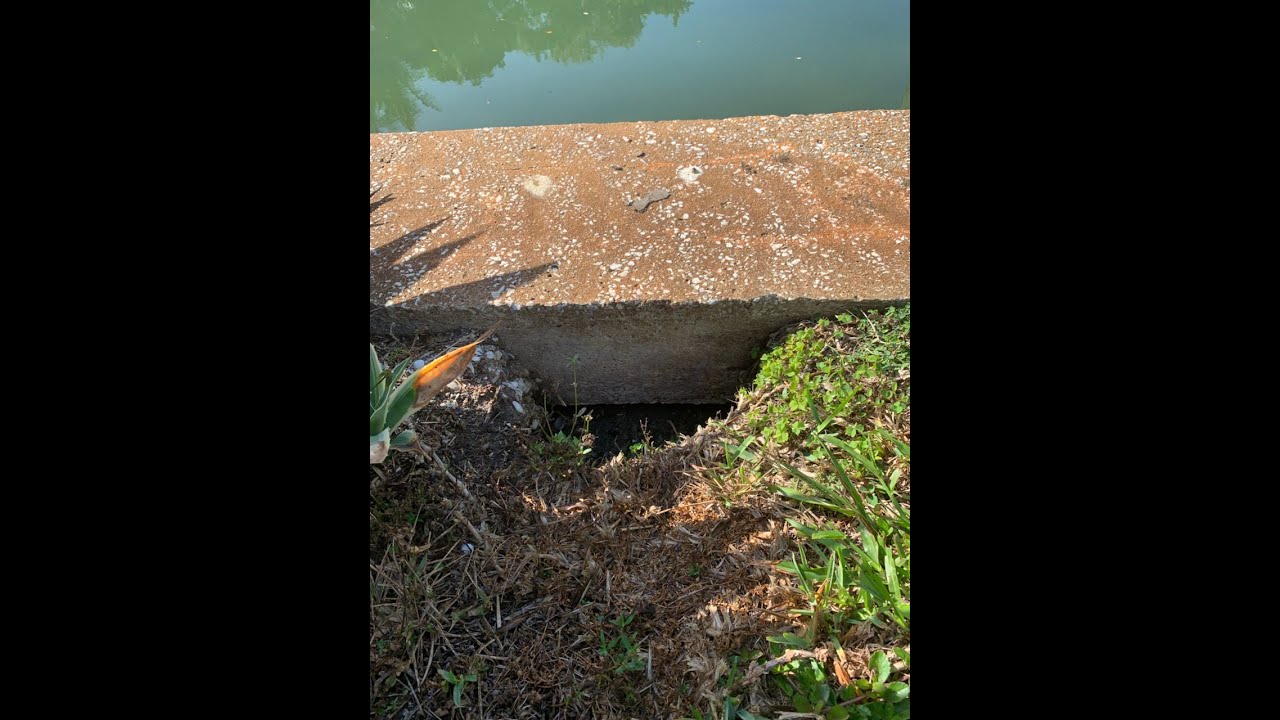 Potholes & Voids Behind Your Seawall