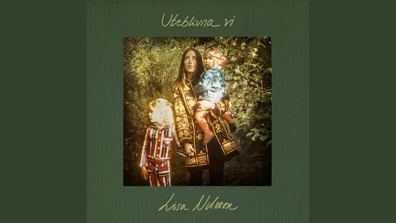 Försökte tycka om dig