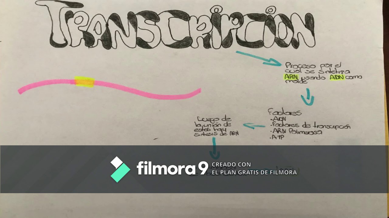 La desmina, para un futuro sin sedentarismo