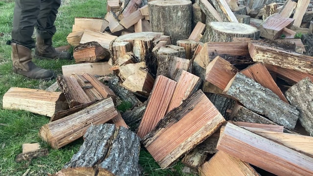 Splitting Northern Red Oak with the Gransfors Bruk splitting maul.